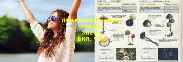 кокаин перу Беломорск