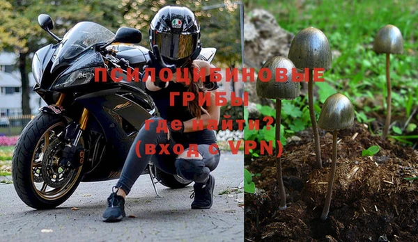 spice Белоозёрский