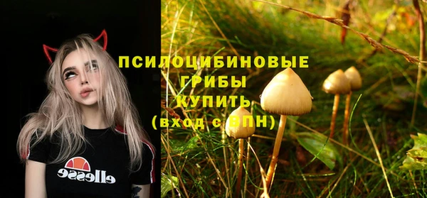 мескалин Белокуриха