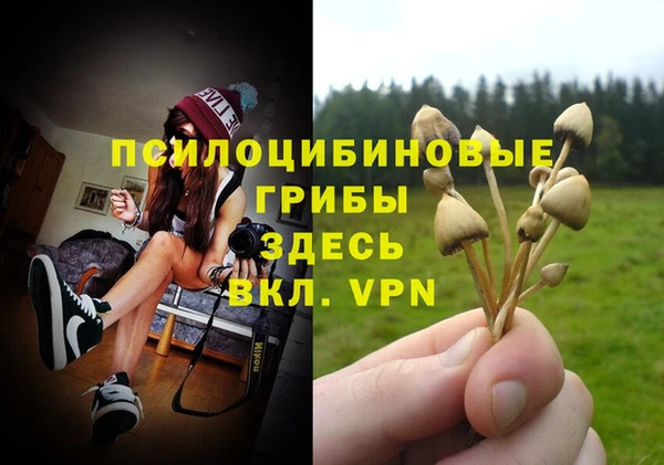 мескалин Белокуриха